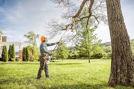 Lawn Watering Services in Shaw Heights, CO
